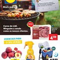 lidl especial verão 13 a 19 julho-compactado_compressed_compressed_page-0001.jpg